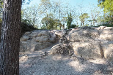 20220416 lac bleu leognan (9).